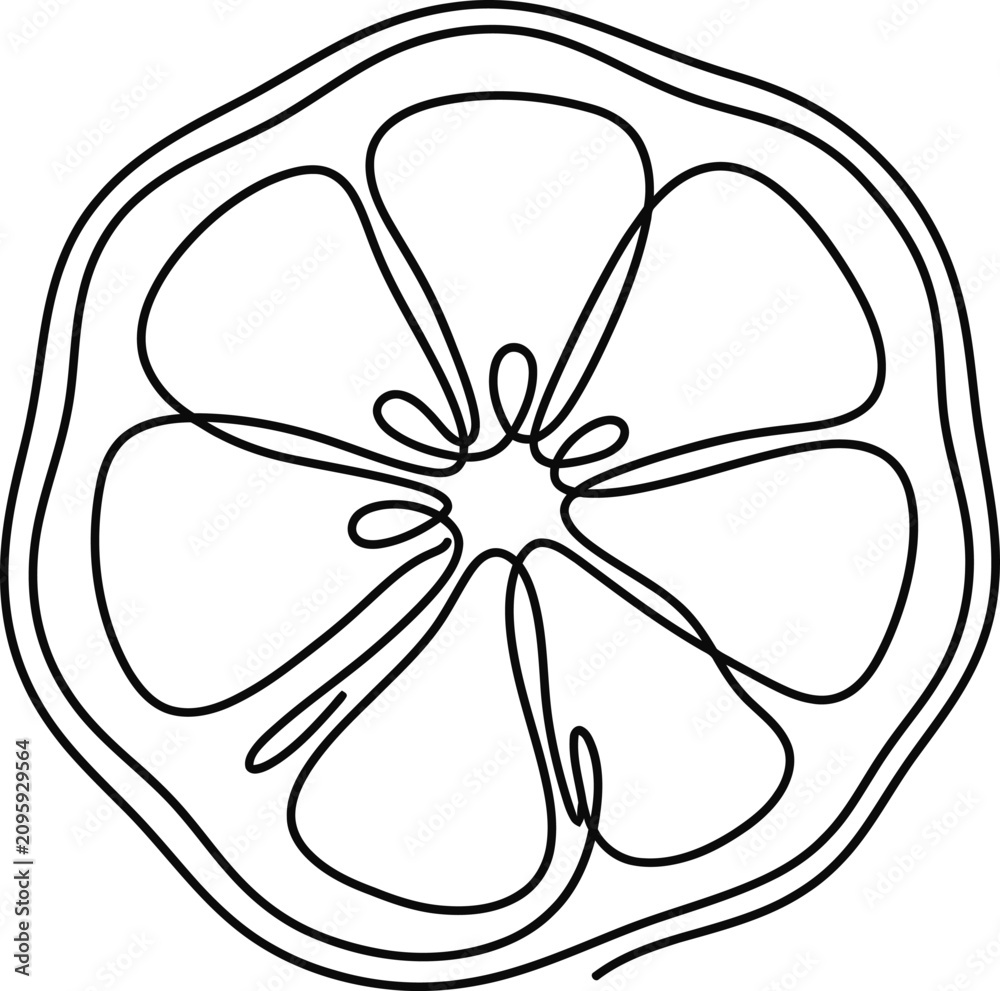 Fototapeta premium Continuous line drawing of a sliced citrus fruit.