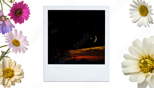 Polaroid Photograph Of Sunset Over Calm Horizon Framed By White Daisies Flower Border