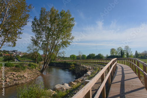Beautiful Walk Boards Over Green Landscape