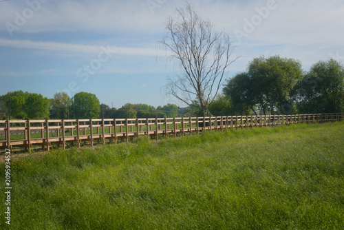 Beautiful Walk Boards Over Green Landscape