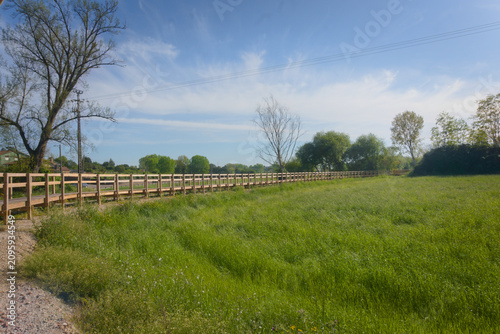 Beautiful Walk Boards Over Green Landscape