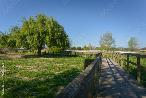 Beautiful Walk Boards Over Green Landscape