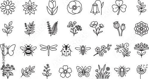 Vector floral and insect illustrations set including flowers, leaves, butterflies, bees, and ladybugs in a simple line art style for design and graphic use.