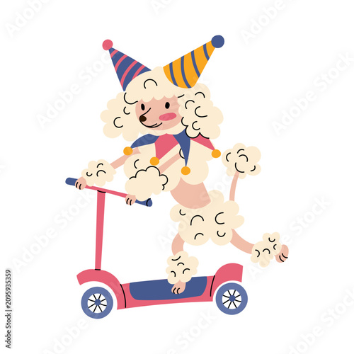 Cuadro en lienzo Hand drawn illustration of a cute circus poodle dog riding a kick scooter isolated on a white background