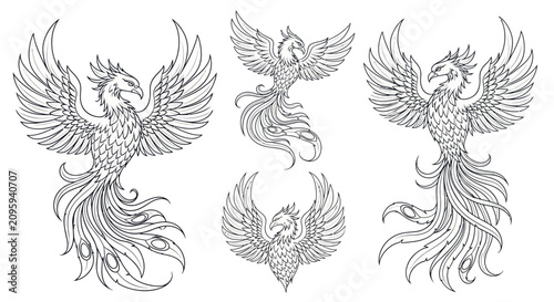 Tableau sur toile Mythical Phoenix Line Art Vector Illustration Set