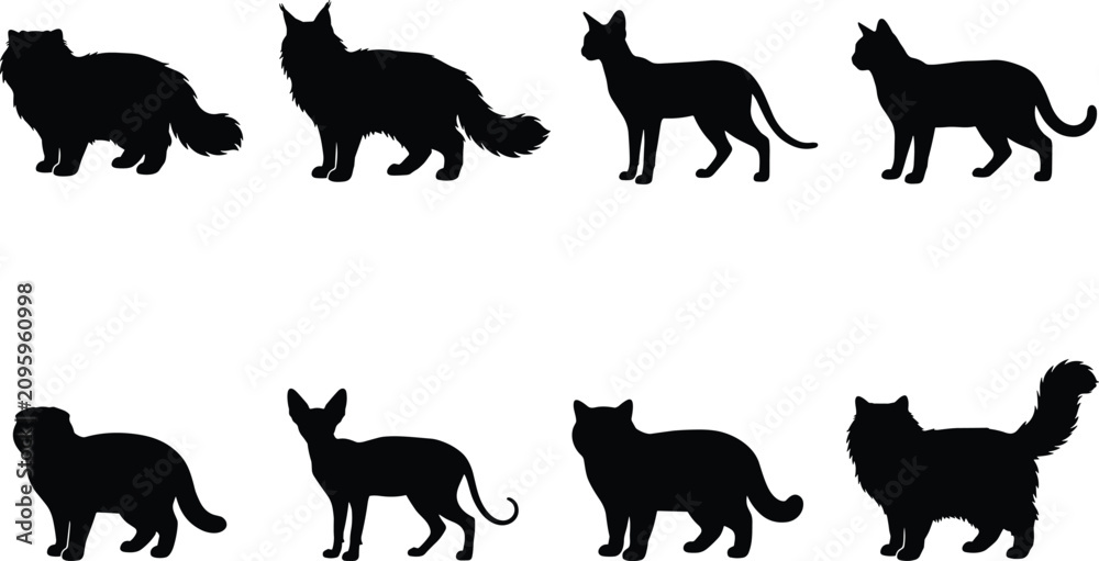 Obraz premium Cat breed silhouette icon set featuring diverse feline body types and coat profiles