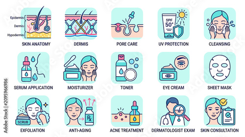 Canvastavla Skincare Routine Icons: Anatomy, Products, Treatments, and Consultation
