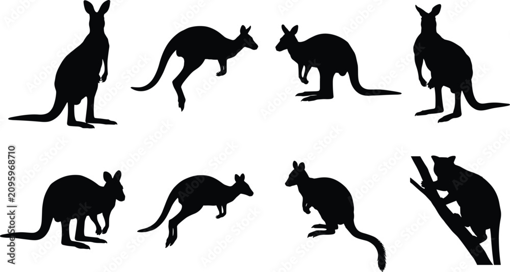 Fototapeta premium Kangaroo and Marsupial Silhouette Icons in Varied Poses
