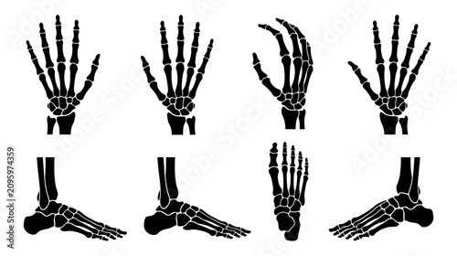 Quadro su tela Human Skeleton Hands and Feet Anatomy Icons Set
