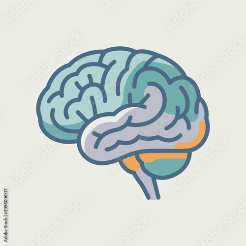 Cuadro en lienzo Flat vector illustration of a human brain showing different lobes