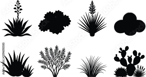 Desert Succulent and Cactus Plant Silhouette Collection Featuring Agave Yucca Shrubs and Xeriscape Botanical Vector Elements
