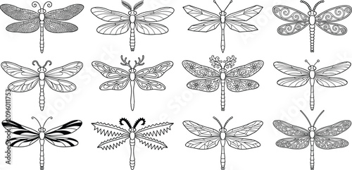Decorative Dragonfly Vector Collection with Ornamental Wing Patterns and Hand Drawn Insect Line Art Set