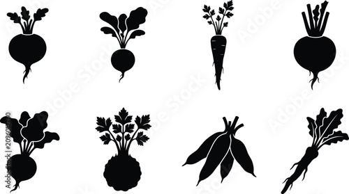 Black root vegetable silhouettes collection with beet carrot radish and organic garden produce vector icons