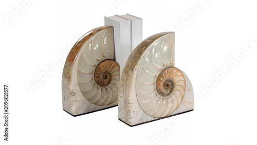 Foto Pair of natural stone nautilus bookends decorative home office library isolated
