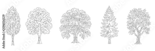 Schilderij op canvas Set of five different tree types in line art style, including deciduous and coni