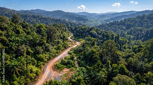 Winding dirt road through dense tropical forest and rolling green hills scenic daytime view mountain