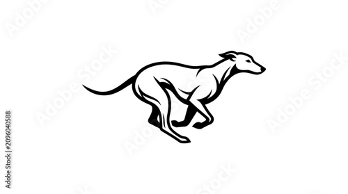 Fotografie Black silhouette of a lean running sighthound dog.