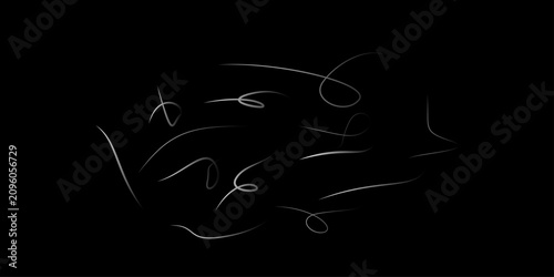 Canvas Print Decorative swirl and spiral vector silhouette set, perfect swirl for graphic design