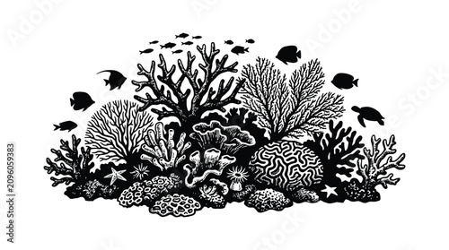 Foto Coral reef scene with fish and sea stars black and white vector illustration