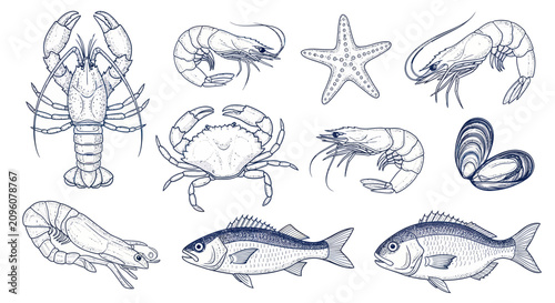 Fotografía Collection of Seafood Illustrations Hand Drawn Style.