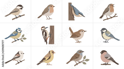 Tableau sur toile Detailed bird species illustration collection in grid layout