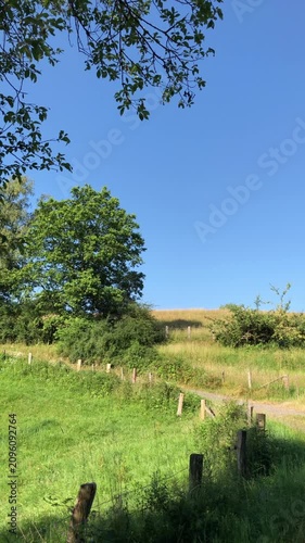 Forest landscape with idyllic winding road or hiking trail footpath and deciduous trees with green lush foliage and wooden fence poles on a sunny day with blue sky in Westerwald in Germany Europe 