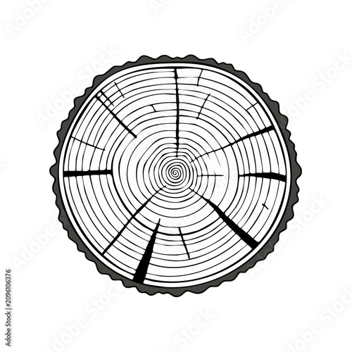 Natural wood cross section with visible growth rings and bark texture