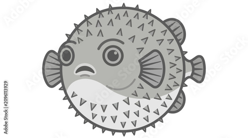 Fotografi Puffer fish with spiky body.