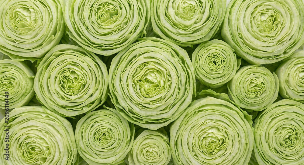 Obraz premium Macro Cross Section Texture of Fresh Green Cabbage Halves Arranged in a Dense Pattern