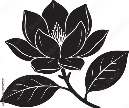 Magnolia flower black silhouette vector graphic with magnolia silhouette botanical illustration isolated minimalist ornament decoration
