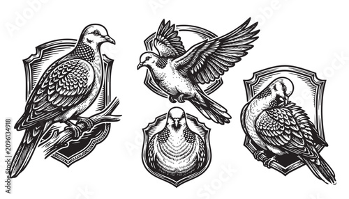 Collection of 4 black and white spotted dove vector illustrations in vintage engraving style, featuring flying and perched birds in shields.