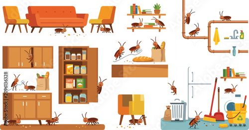 Household cockroach infestation areas and pest control flat vector cartoon element set