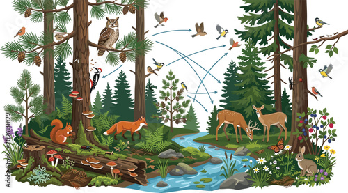Canvas Print Forest ecosystem food web diagram with wild animals birds and river landscape