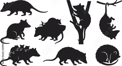Bild auf Leinwand Opossum Silhouette Collection Featuring Virginia Marsupials Climbing Carrying Ba