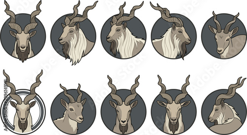 Cuadro en lienzo Markhor Head Portrait Collection Featuring Mountain Goat Faces with Spiral Horns
