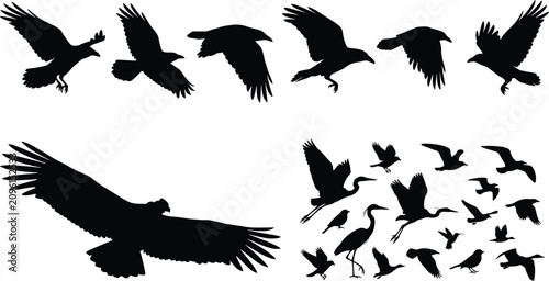 Картината върху платно Flying bird silhouette vector icon set featuring migratory flock formations eagl