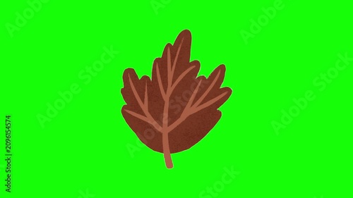Abstract oak leaf animation on green screen, featuring a textured autumn botanical illustration for nature videos and animated backgrounds. 