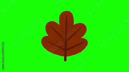 Abstract bold oak leaf animation on green screen, featuring a decorative fall botanical element for seasonal intros, overlays, and creative content.