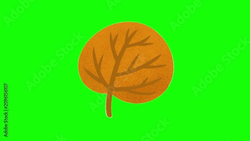 Abstract round autumn leaf animation on green screen, featuring a simple flat botanical element for seasonal videos, presentations, and motion graphics. 