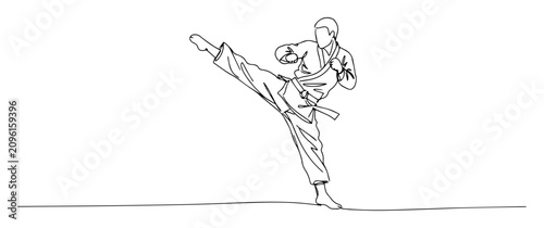 karateka performing high kick attack pose