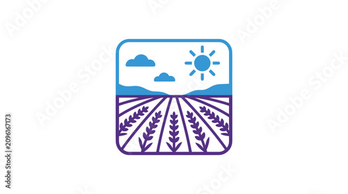 фотографія Wheat crop field with sun clouds.