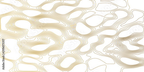 Fotografie Abstract abstract topographical map in muted earth tones, featuring contour lines creating organic, flowing patterns against a clean background, hinting at geological formations or abstract design