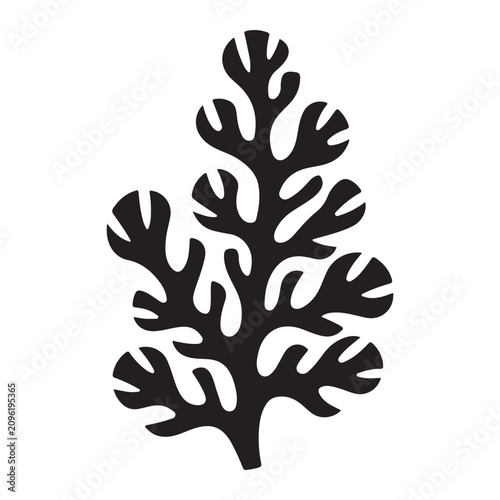 nature fern leaf plant design element foliage art graphic isolated vector on a white background