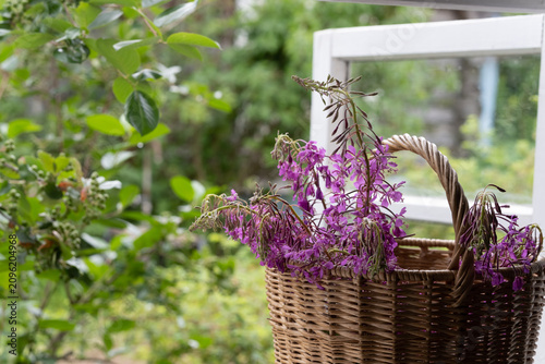Fotografia Basket with fireweed or blooming sally or Chamaenerion on window