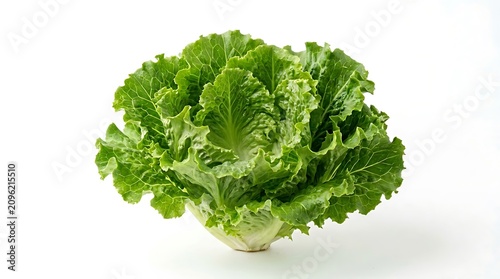 Fresh green broccoli florets close up.