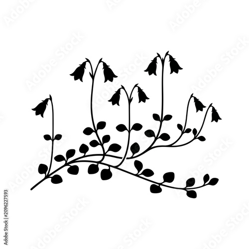 Twinflower Vector Illustration | Woodland Botanical Wildflower Artwork | Delicate Forest Floral Design