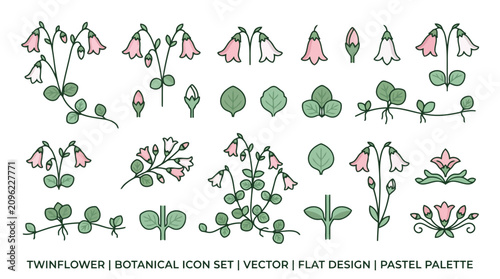 Twinflower Vector Illustration | Woodland Botanical Wildflower Artwork | Delicate Forest Floral Design