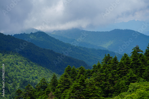 The lush green mountain landscape of Shennongjia Forestry District in China features dense pine forests stretching across the rolling hills under a cloudy summer sky