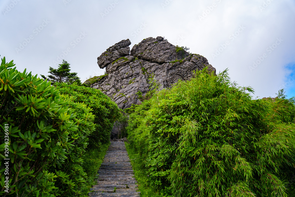 Obraz premium A stone path leads through green bamboo forests toward a large rocky mountain peak in the Shennongjia Forestry District of China under a cloudy sky