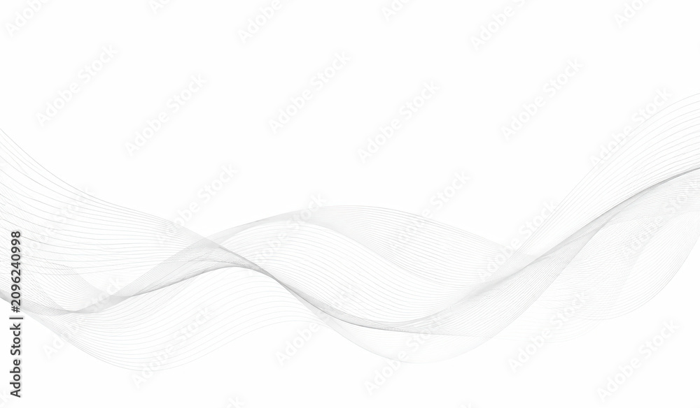 Fototapeta premium Abstract wavy lines pattern with soft grey gradient flowing motion isolated on white background